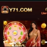 Y71.COM