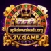 2V.Game